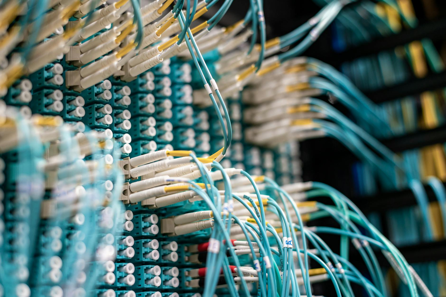 Niebieskie kable sieciowe podłączone do modułów w serwerowni Niebieskie kable sieciowe podłączone do modułów w serwerowni